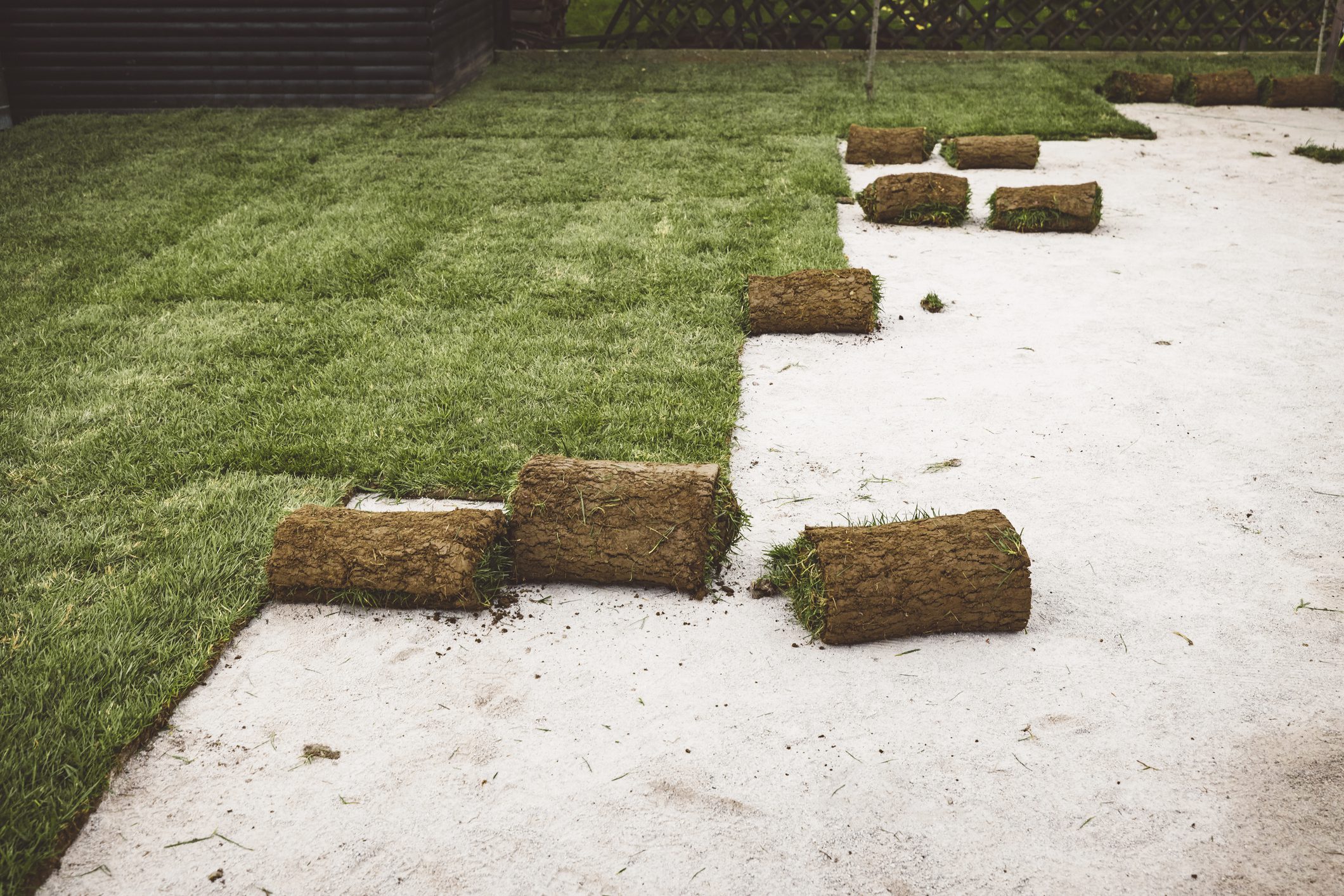 Garden with partially installed sod rolls
