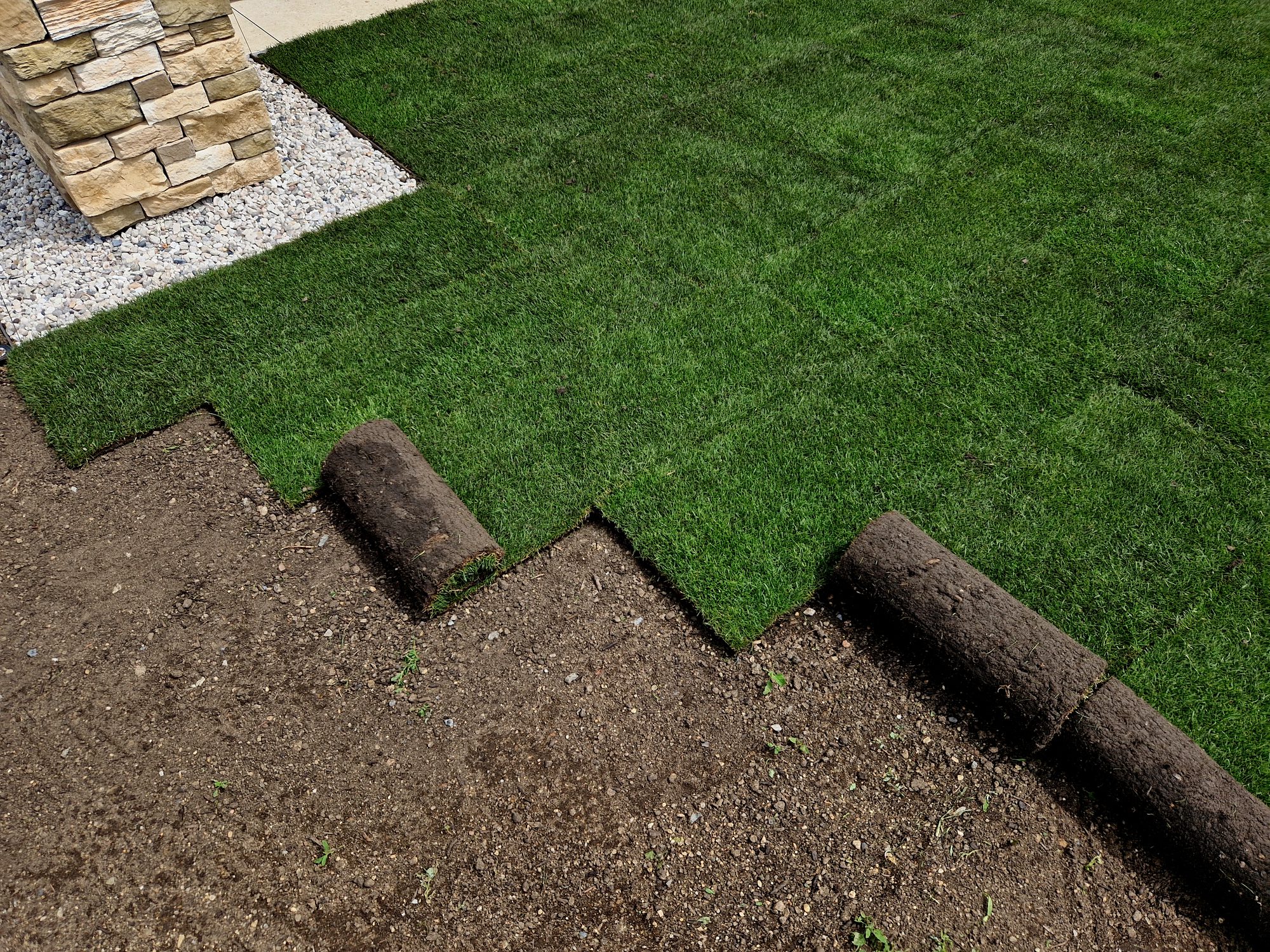 laying grass turf in the family garden. a roll of sod is driven onto the plowed surface of the soil. development and paving is important against erosion and drying out, unroll, install, stacked, installation