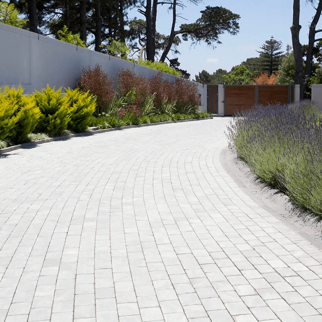 Curved driveway with lavender plants